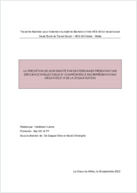 Travail de Bachelor Hadlimann Léone.pdf